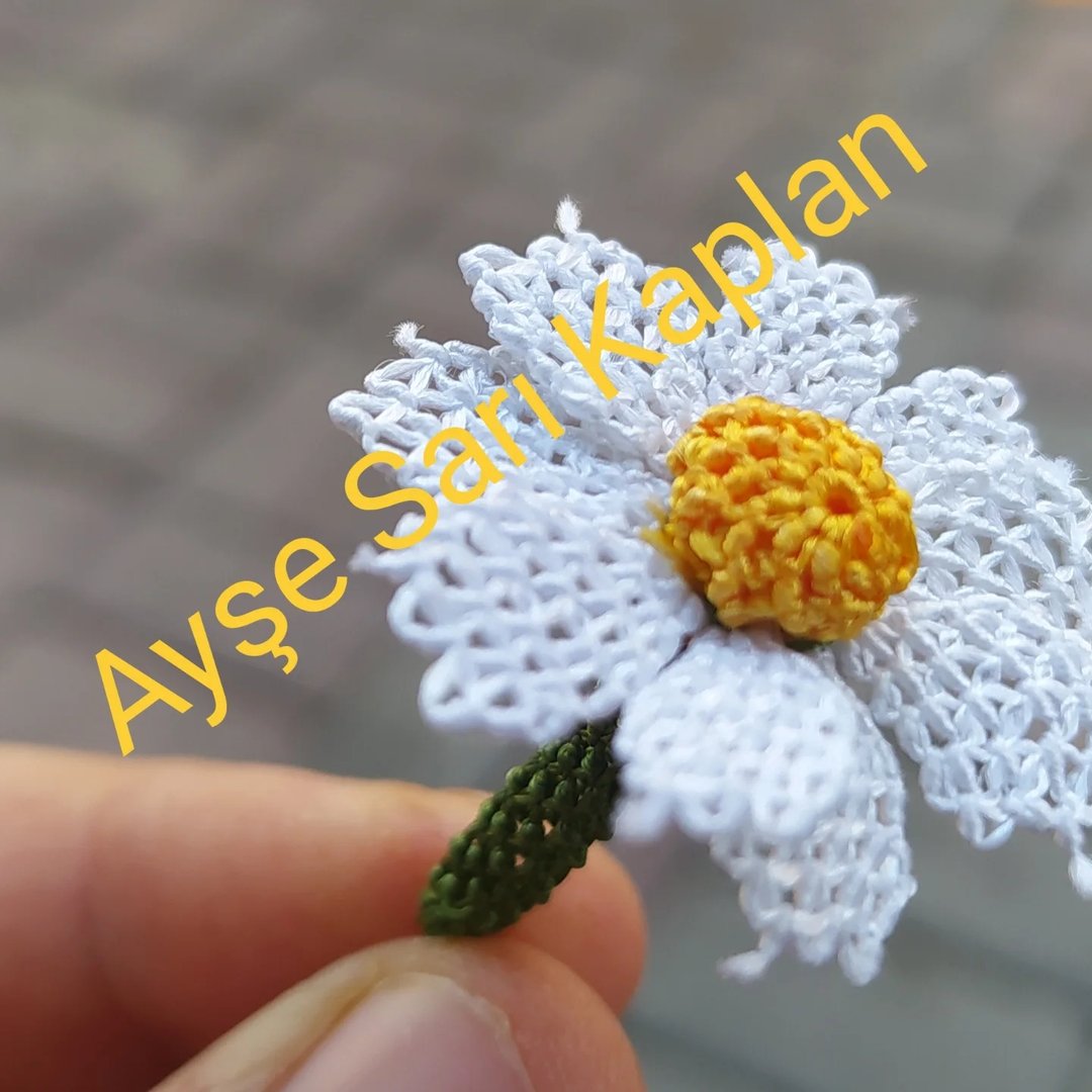 Ayşe Sarı Kaplan