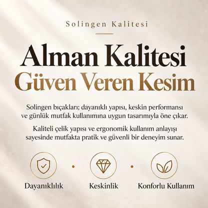 Solingen Mini Şef Bıçağı - 25 cm